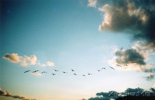 ���������Ҫ��Ϊһʱ���ķ�������һ���ӵ�ɵ�� (2)