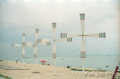 �簲���������¿࣬������ľ (8)