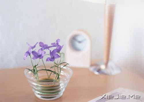 早安心语:有些事难以左右,有些话难以开口 (9)