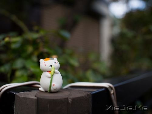 早安心语:青春不是一段年华,而是一种心境 (10)