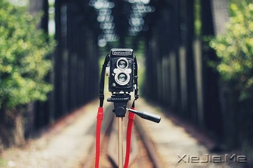 �簲�����������ܻ��ͷ (5)