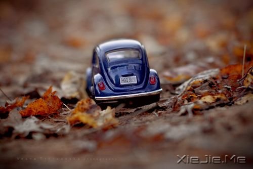 �簲���˼�����ǣ�������� (4)