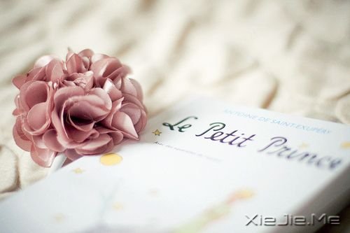 �簲���������������� (7)