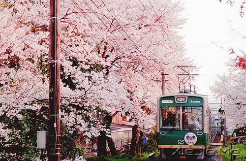 ���������ģ������ǻ� (2)