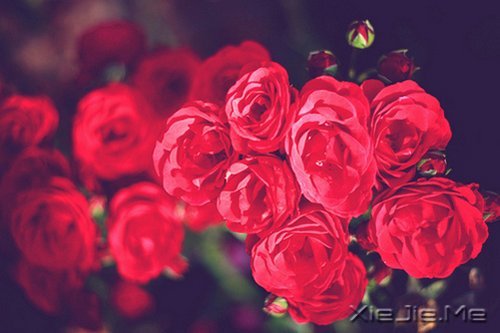 ���֣�����֮������ì���ǽ׼�