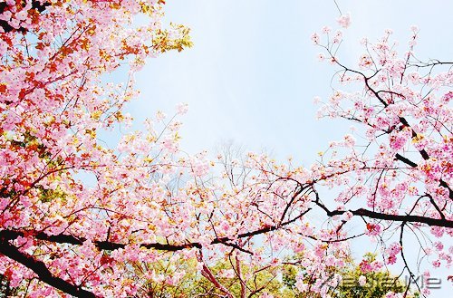 2014����12�������ı��Լ� (11)