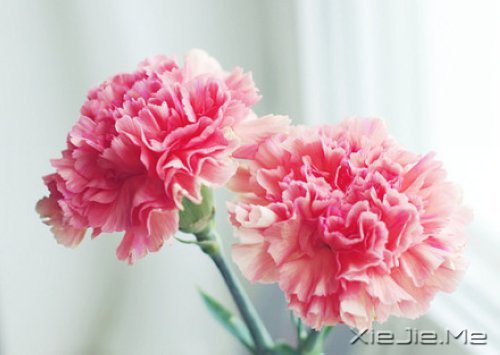 �������������������������� (1)