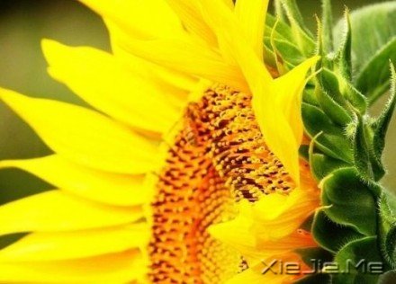 ������¼��������磬������������ (8)