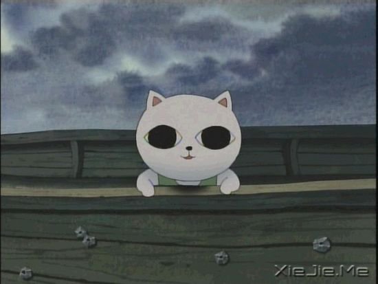 ����è���9�������Ӱ�Ƽ� (9)