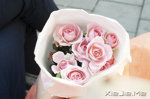 ������¼����ʲôҲ������������ (1)