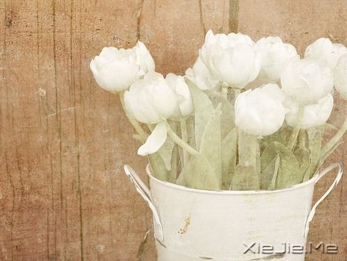 最坚强的时刻在梦里 (1)