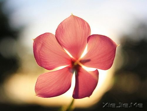 ���µĻ���ͼƬ (5)