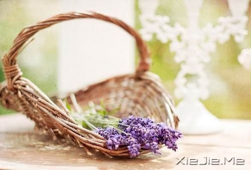 生命中那些简单的小幸福 (1)