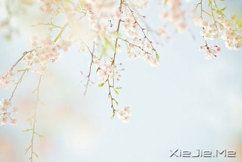 ������һ�ֵ�������� (9)